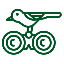 Avistamiento de aves
