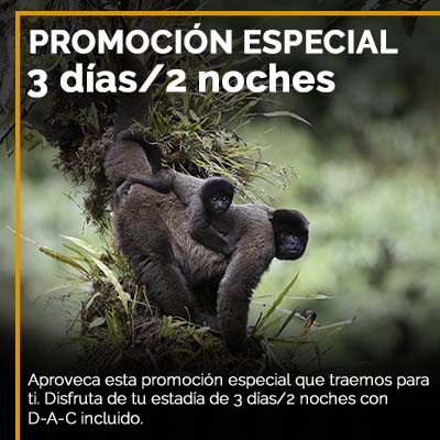 Promoción 1