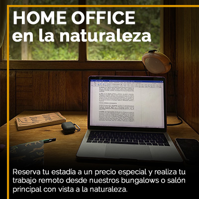 Promoción 2